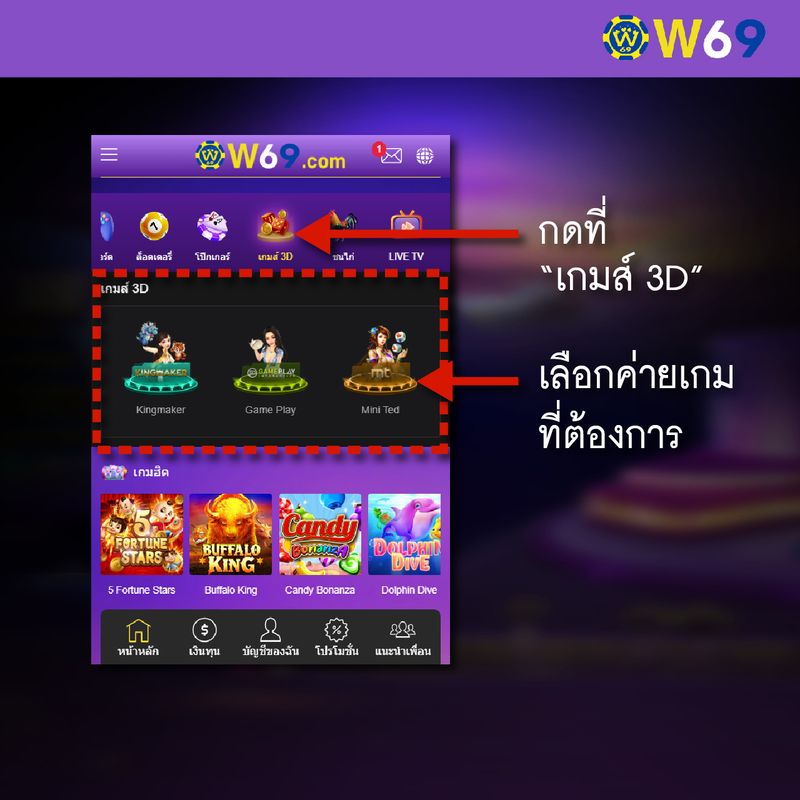 W69 เล่นเกมส์ 3D-01